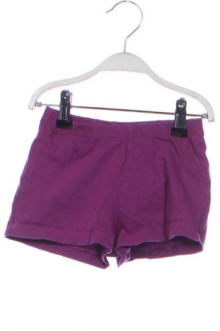 Pantaloni scurți pentru copii Lupilu, Mărime 18-24m/ 86-98 cm, Culoare Mov, Preț 29,99 Lei