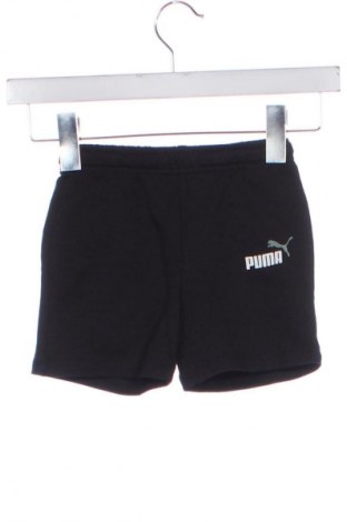 Kinder Shorts PUMA, Größe 18-24m/ 86-98 cm, Farbe Schwarz, Preis 41,99 €