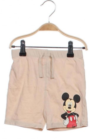 Kinder Shorts Unbranded, Größe 18-24m/ 86-98 cm, Farbe Beige, Preis 6,99 €