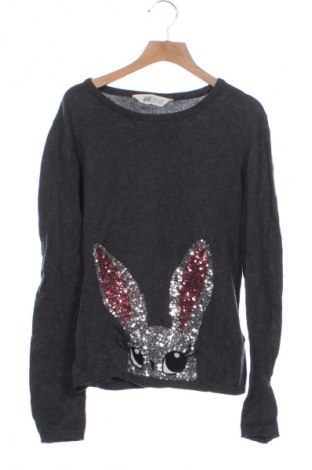 Pulover pentru copii H&M, Mărime 12-13y/ 158-164 cm, Culoare Gri, Preț 44,99 Lei