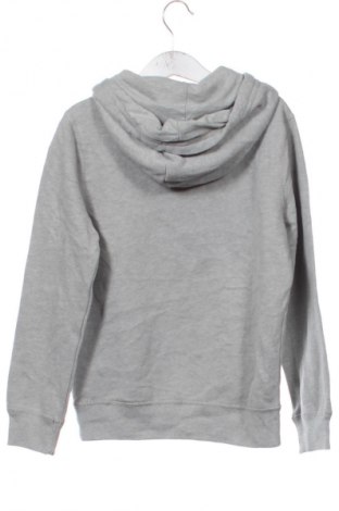 Kinder Sweatshirts Abercrombie Kids, Größe 7-8y/ 128-134 cm, Farbe Grau, Preis 16,99 €