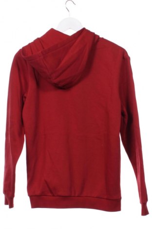 Παιδικό φούτερ PUMA, Μέγεθος 15-18y/ 170-176 εκ., Χρώμα Κόκκινο, Τιμή 45,99 €