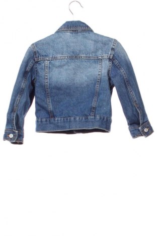Dětská bunda  Terranova, Velikost 2-3y/ 98-104 cm, Barva Modrá, Cena  405,00 Kč