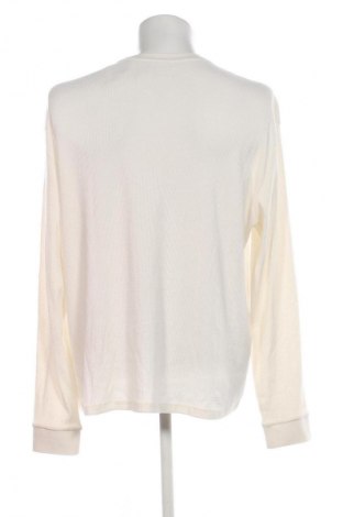 Herren Shirt Calvin Klein Jeans, Größe XL, Farbe Ecru, Preis 47,99 €