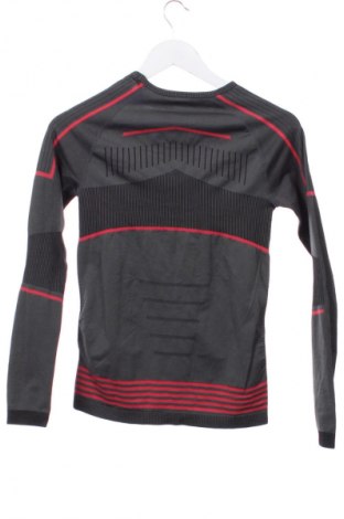 Męska bluzka Crane, Rozmiar XS, Kolor Kolorowy, Cena 36,99 zł