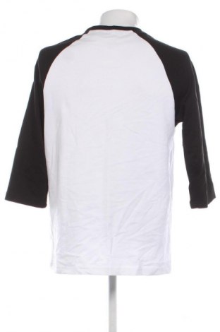 Herren Shirt Cropp, Größe L, Farbe Mehrfarbig, Preis 13,80 €