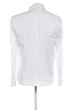 Herrenhemd 17 & Co., Größe L, Farbe Weiß, Preis 15,00 €
