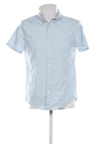 Herrenhemd Hollister, Größe M, Farbe Mehrfarbig, Preis 22,99 €