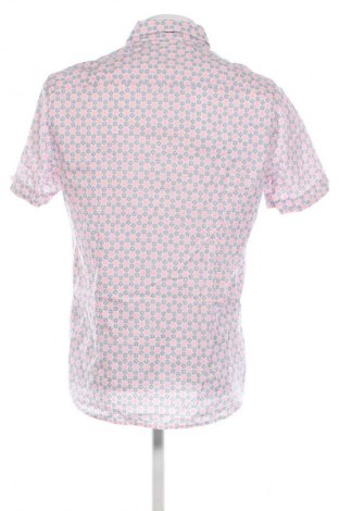 Męska koszula New Zealand Auckland, Rozmiar L, Kolor Kolorowy, Cena 92,99 zł