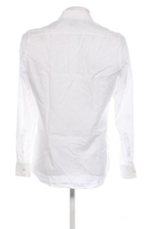 Ανδρικό πουκάμισο Olymp, Μέγεθος M, Χρώμα Λευκό, Τιμή 13,99 €