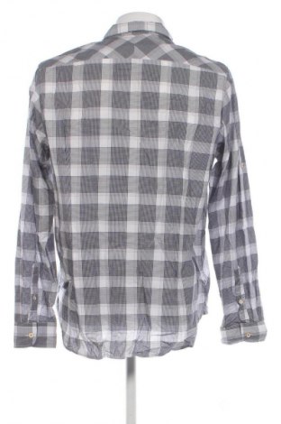 Herrenhemd Ted Baker, Größe L, Farbe Mehrfarbig, Preis € 24,99