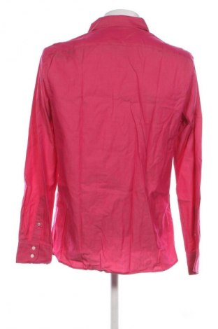Herrenhemd Ted Baker, Größe L, Farbe Rosa, Preis € 25,99