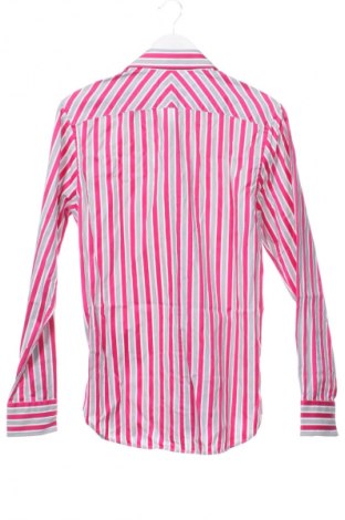 Ανδρικό πουκάμισο Ted Baker, Μέγεθος M, Χρώμα Πολύχρωμο, Τιμή 24,99 €