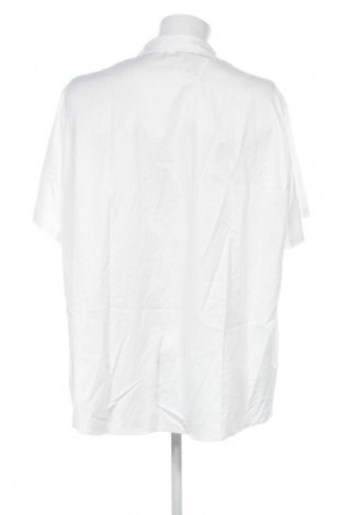 Ανδρικό πουκάμισο Unbranded, Μέγεθος 3XL, Χρώμα Πολύχρωμο, Τιμή 11,99 €