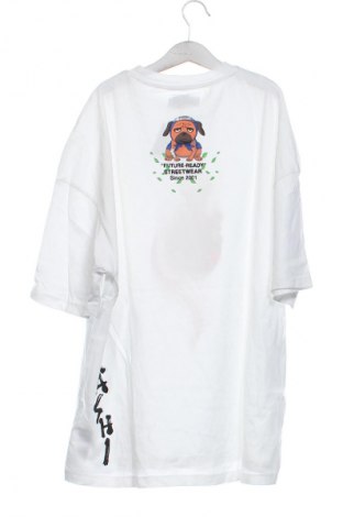 Pánské tričko  Bershka, Velikost XS, Barva Bílá, Cena  169,00 Kč