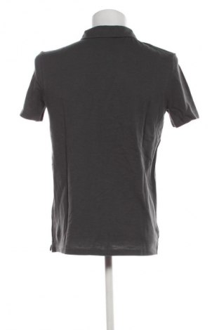 Ανδρικό t-shirt Bruno Banani, Μέγεθος M, Χρώμα Γκρί, Τιμή 28,99 €