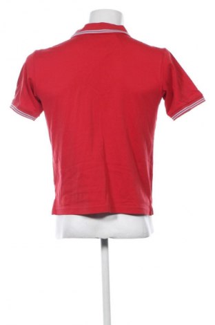 Herren T-Shirt Champion, Größe S, Farbe Rot, Preis 13,99 €