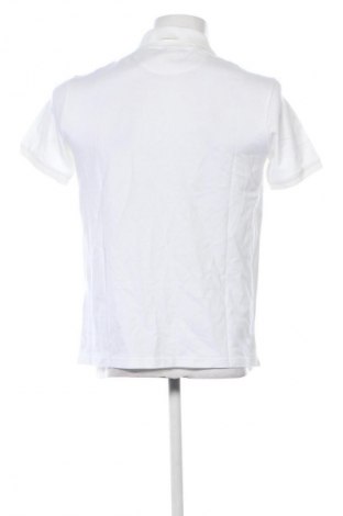 Herren T-Shirt Champion, Größe S, Farbe Weiß, Preis € 30,99