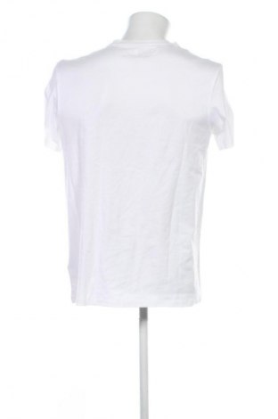 Herren T-Shirt Timberland, Größe L, Farbe Mehrfarbig, Preis € 27,99