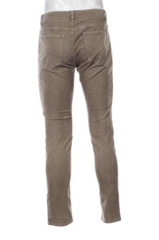 Herren Cordhose Closed, Größe M, Farbe Grün, Preis 24,99 €