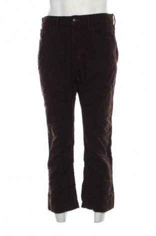 Męskie sztruksy Marks & Spencer, Rozmiar M, Kolor Brązowy, Cena 45,99 zł