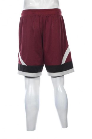 Ανδρικό κοντό παντελόνι PUMA, Μέγεθος L, Χρώμα Πολύχρωμο, Τιμή 11,99 €