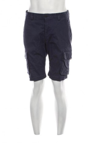 Pantaloni scurți de bărbați Tommy Jeans, Mărime S, Culoare Albastru, Preț 173,99 Lei