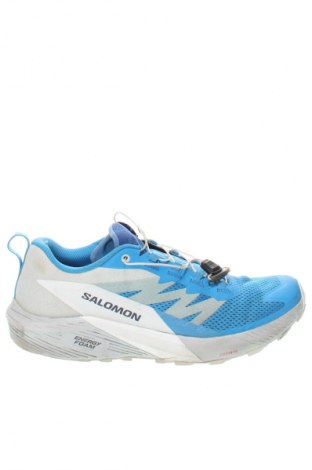 Férfi cipők
 Salomon, Méret 43, Szín Sokszínű, Ár 36 329 Ft