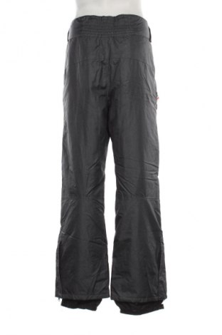 Ανδρικό παντελόνι για χειμερινά σπορ Crivit, Μέγεθος L, Χρώμα Γκρί, Τιμή 77,81 €