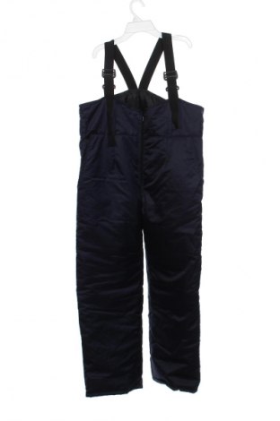 Herrenhose für Wintersport Unbranded, Größe M, Farbe Blau, Preis € 64,96