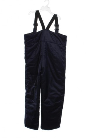 Herrenhose für Wintersport Unbranded, Größe M, Farbe Blau, Preis € 64,96