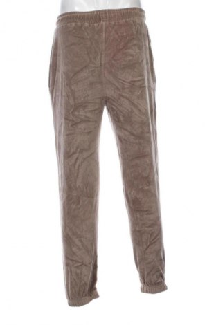 Herren Sporthose Review, Größe S, Farbe Grün, Preis 8,99 €