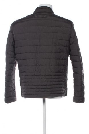 Pánska bunda  Camel Active, Veľkosť XL, Farba Sivá, Cena  56,95 €