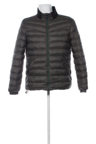 Męska kurtka Petrol Industries, Rozmiar L, Kolor Zielony, Cena 244,99 zł