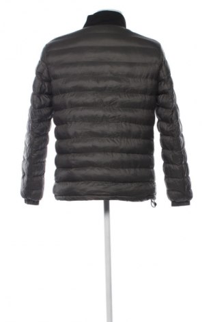 Męska kurtka Petrol Industries, Rozmiar L, Kolor Zielony, Cena 244,99 zł