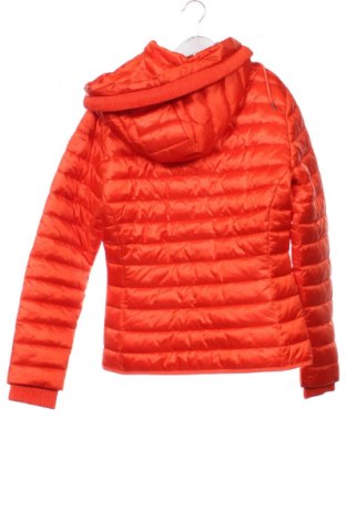 Ανδρικό μπουφάν Tom Tailor, Μέγεθος S, Χρώμα Πορτοκαλί, Τιμή 117,99 €