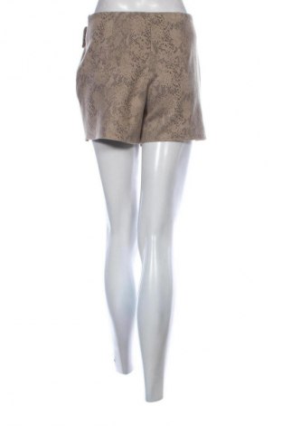 Hosenrock Zara, Größe S, Farbe Mehrfarbig, Preis 10,30 €