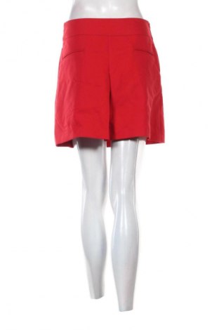 Rock Camaieu, Größe S, Farbe Rot, Preis 3,99 €