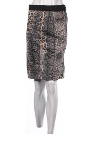 Φούστα Dorothy Perkins, Μέγεθος M, Χρώμα Πολύχρωμο, Τιμή 13,80 €