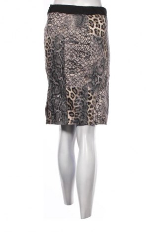 Φούστα Dorothy Perkins, Μέγεθος M, Χρώμα Πολύχρωμο, Τιμή 13,80 €