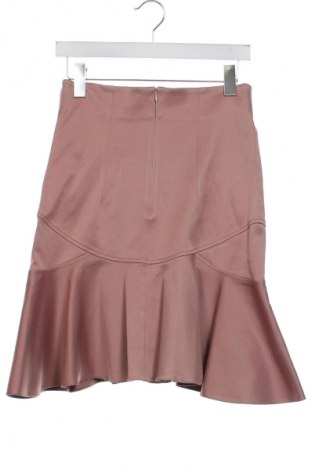 Φούστα Nissa, Μέγεθος XS, Χρώμα Σάπιο μήλο, Τιμή 31,68 €
