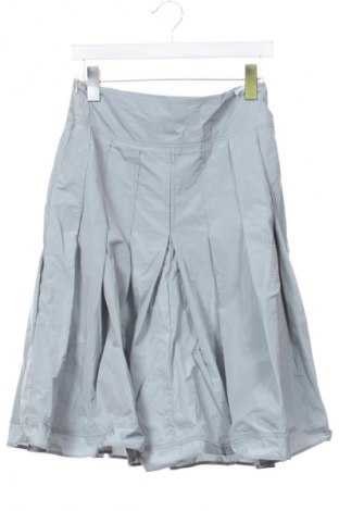 Fustă Unbranded, Mărime S, Culoare Gri, Preț 49,99 Lei