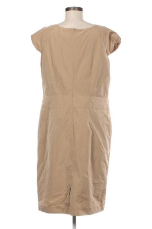 Kleid Betty Barclay, Größe L, Farbe Beige, Preis 42,05 €