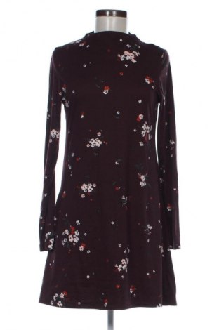 Kleid Clockhouse, Größe M, Farbe Mehrfarbig, Preis € 10,99