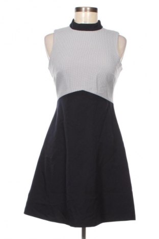 Kleid Dorothy Perkins, Größe M, Farbe Mehrfarbig, Preis € 19,99