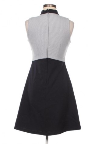 Kleid Dorothy Perkins, Größe M, Farbe Mehrfarbig, Preis € 19,99