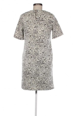 Φόρεμα Dorothy Perkins, Μέγεθος M, Χρώμα Πολύχρωμο, Τιμή 11,99 €