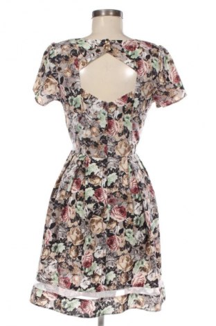 Kleid Dorothy Perkins, Größe M, Farbe Mehrfarbig, Preis 13,81 €