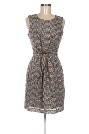 Kleid Esprit, Größe M, Farbe Mehrfarbig, Preis € 21,99