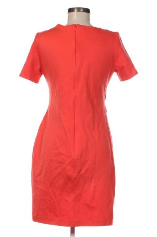 Рокля Fadenmeister, Размер M, Цвят Червен, Цена 129,03 лв.